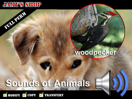 Second Life Marketplace - Sound - Woodpecker FP